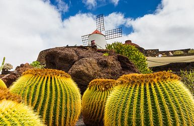 Q:\Destinationen\Spanien\Kanaren\Lanzarote\Kaktus-Garten\Lanzarote_Kaktusgarten_AdobeStock_175273704 © walipix_abo.jpeg