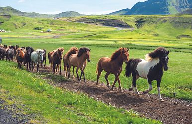 Norwegen & Island - Naturgewalten zum Greifen nah