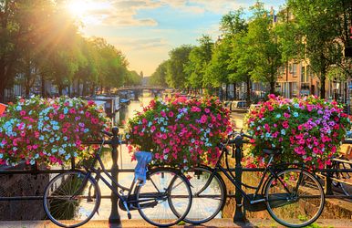 Mittsommer-Cruise Amsterdam