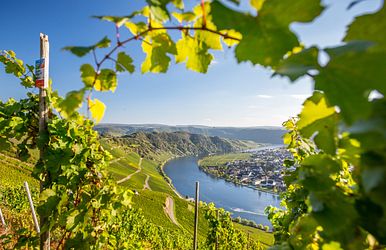 Main & Mosel Erlebnis 2027