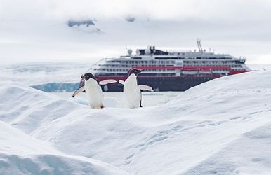 All-Inclusive Expedition Antarktis und Falkland-Inseln
