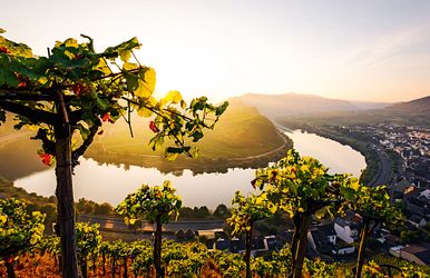 Mosel Erlebnis