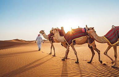 Orient & Emirate