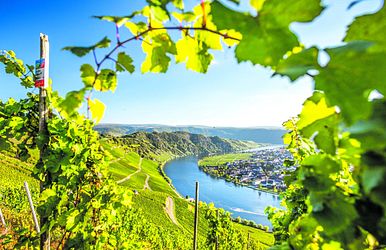 Die Mosel entdecken: Burgen, Reben & Romantik