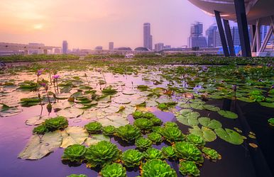 Singapur und der Zauber Südostasiens