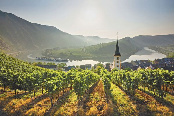 Scenic Amber Flusskreuzfahrten