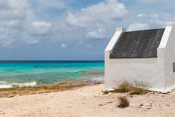 Bonaire Kreuzfahrten