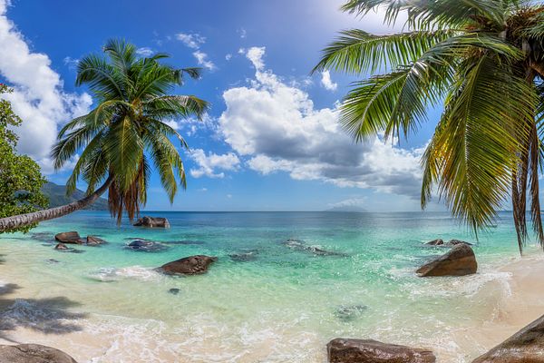 Jamaika Kreuzfahrten