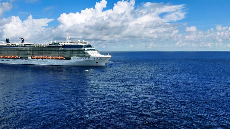 Celebrity Reflection