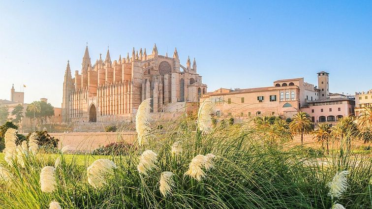 Palma de Mallorca, Kathedrale