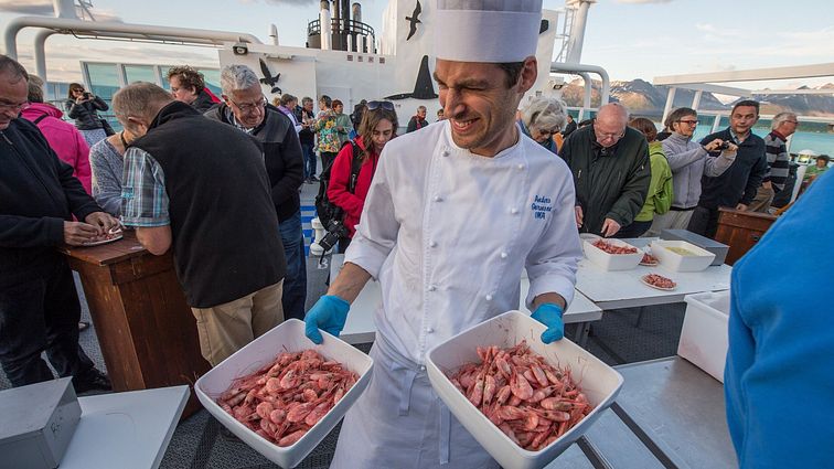 MIDNATSOL - Ohne Reederei - MIDNATSOL