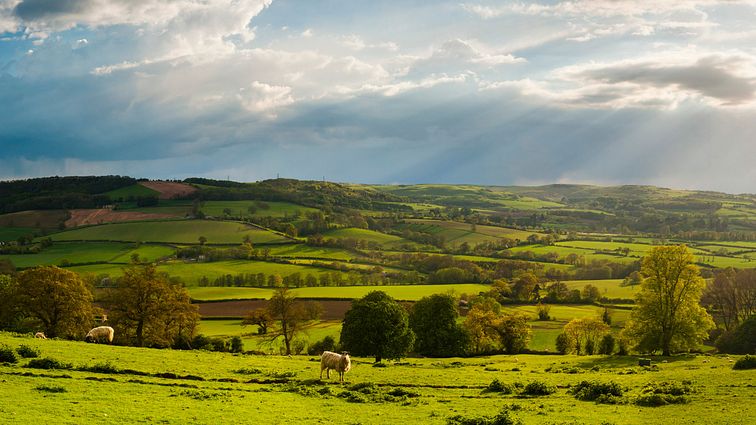 Cotswolds England Britische Inseln