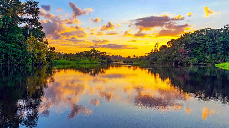 Sonnenuntergang im Amazonas Regenwald