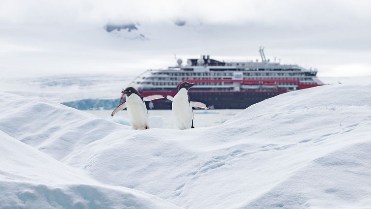 Die MS Roald Amundsen mit Adélie Pinguinen © Ted Gatlin