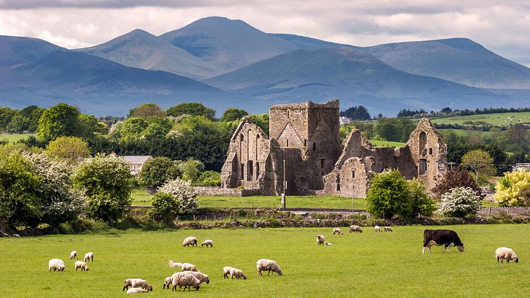 Hore Abbey in Cashel Irland