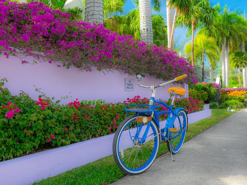 Stadtbummel in Grand Cayman