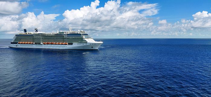 Celebrity Reflection