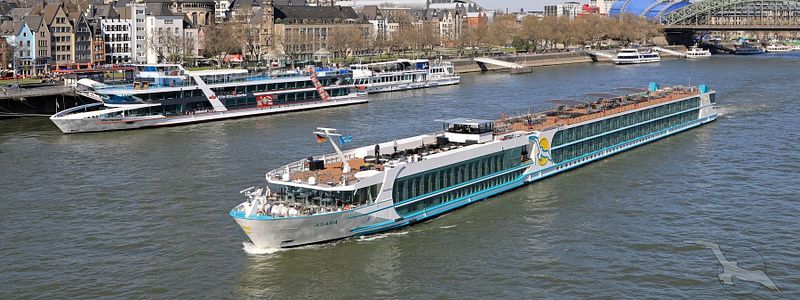 MS Asara