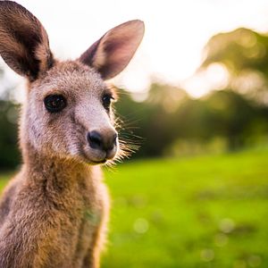 Tauranga Neuseeland
