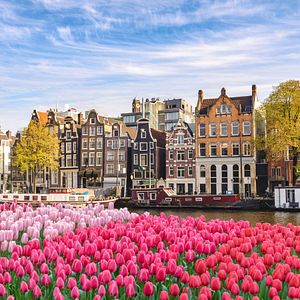 Amsterdam Niederlande