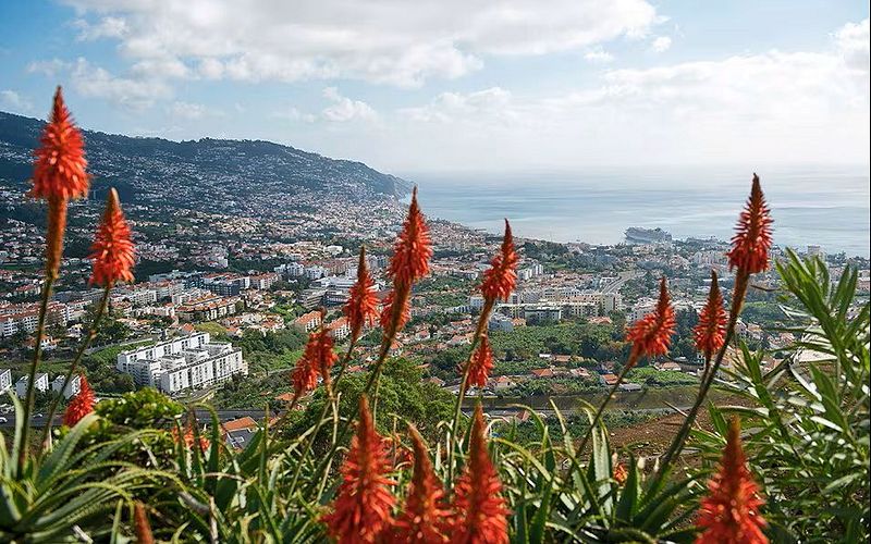 inselzauber im atlantik