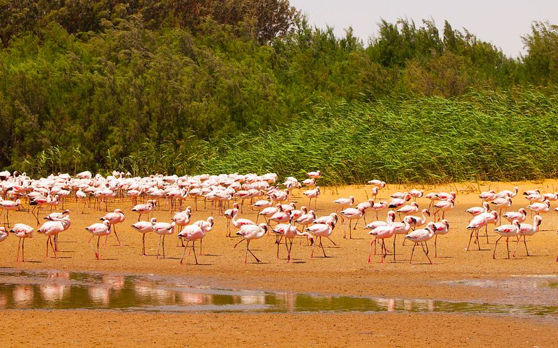 transozean von kapstadt bis mallorca