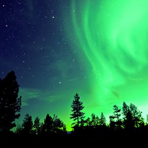 Nordlicht mit Bäumen