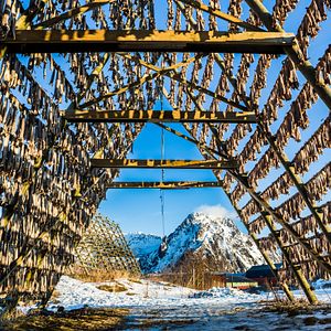 Lofoten Nordlicht Polarlicht Hamnoy