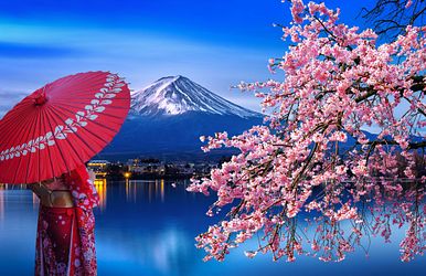 japan zur frühlingsblüte