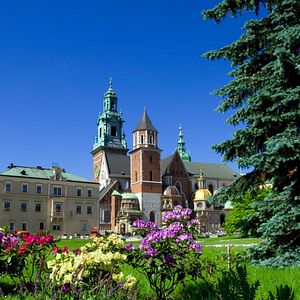 Krakau Kathedrale