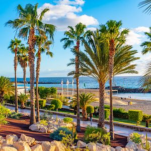 Playa de las Vistas auf Teneriffa, Kanarische Inseln, Spanien 