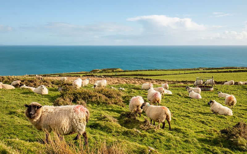 großbritannien & irland