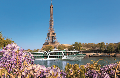 ms amadeus diamond