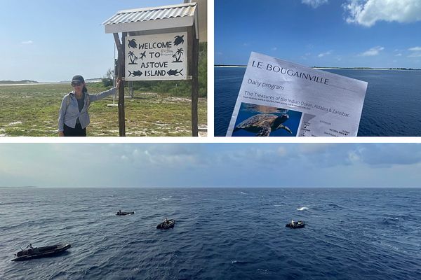 Astove Island