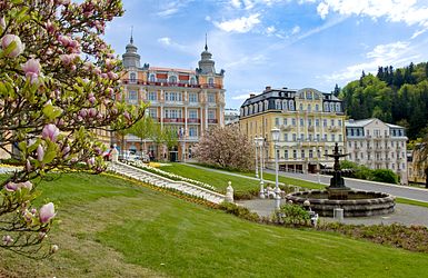 Kurreise nach Marienbad
