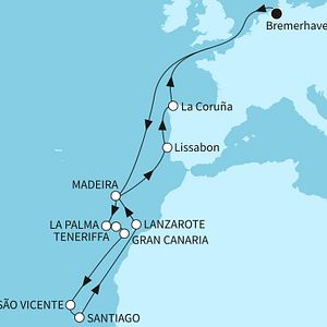 Feuerwerk Madeira Silvester