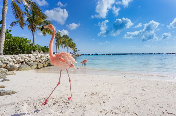 Impression zu Winter 2026/27 - Mein Schiff 5 - Karibische Inselwelten