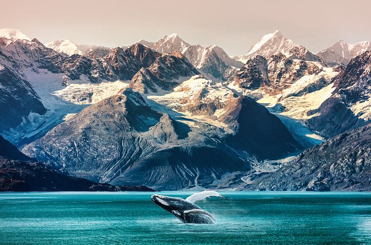 Impressionen zu Cunard - Queen Elizabeth - Alaska und Kanada