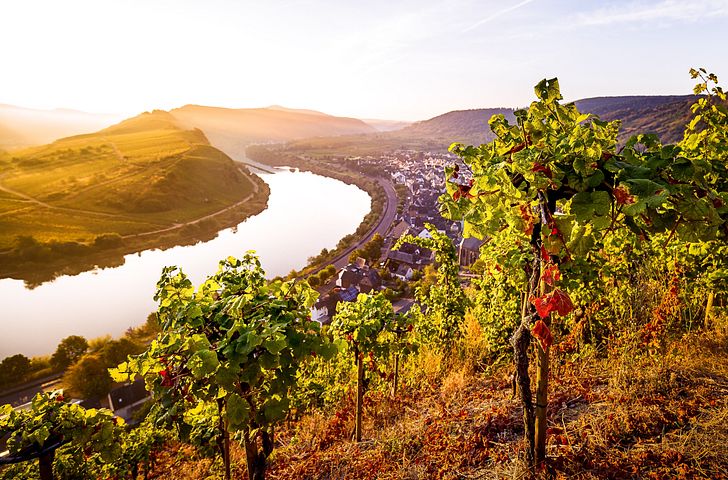 Impressionen zu nicko cruises Winter 2026/27 - nickospirit - Genuss und Wein auf Rhein und Mosel