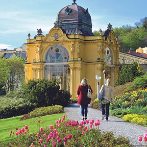 Marienbad Tschechien Fontäne Karolinenquelle