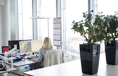 jobs im backoffice