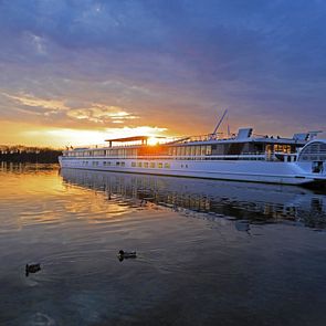 MS Elbe Princesse II - 1AVista - MS Elbe Princesse II