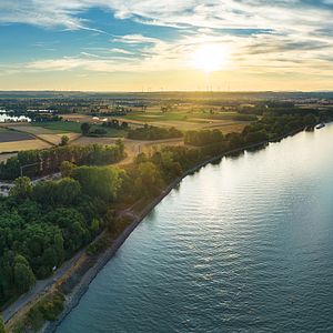 Rhein zwischen Mainz und Worms