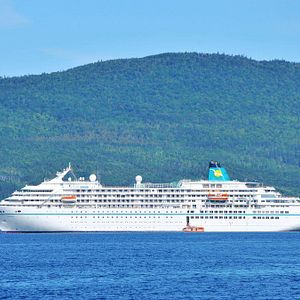 PHOENIX AMADEA SCHIFF