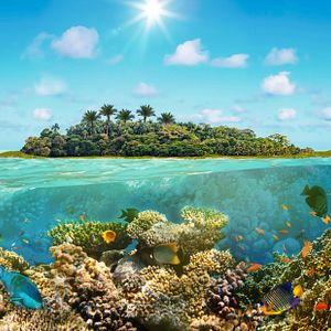 Von Martinique nach Hamburg