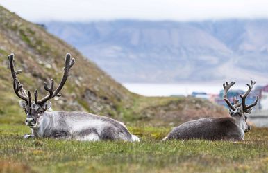 traumreise norwegen bis zum nordkap