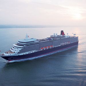 Karibik Palme mit Liegematte