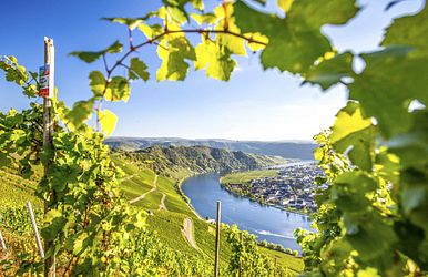 ms carissima - eine flussreise auf der mosel