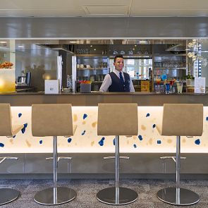 MS-Van-Gogh Bar