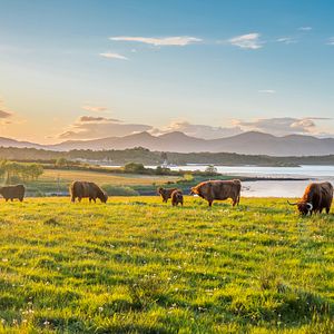 Highlands Schottland Großbritannien